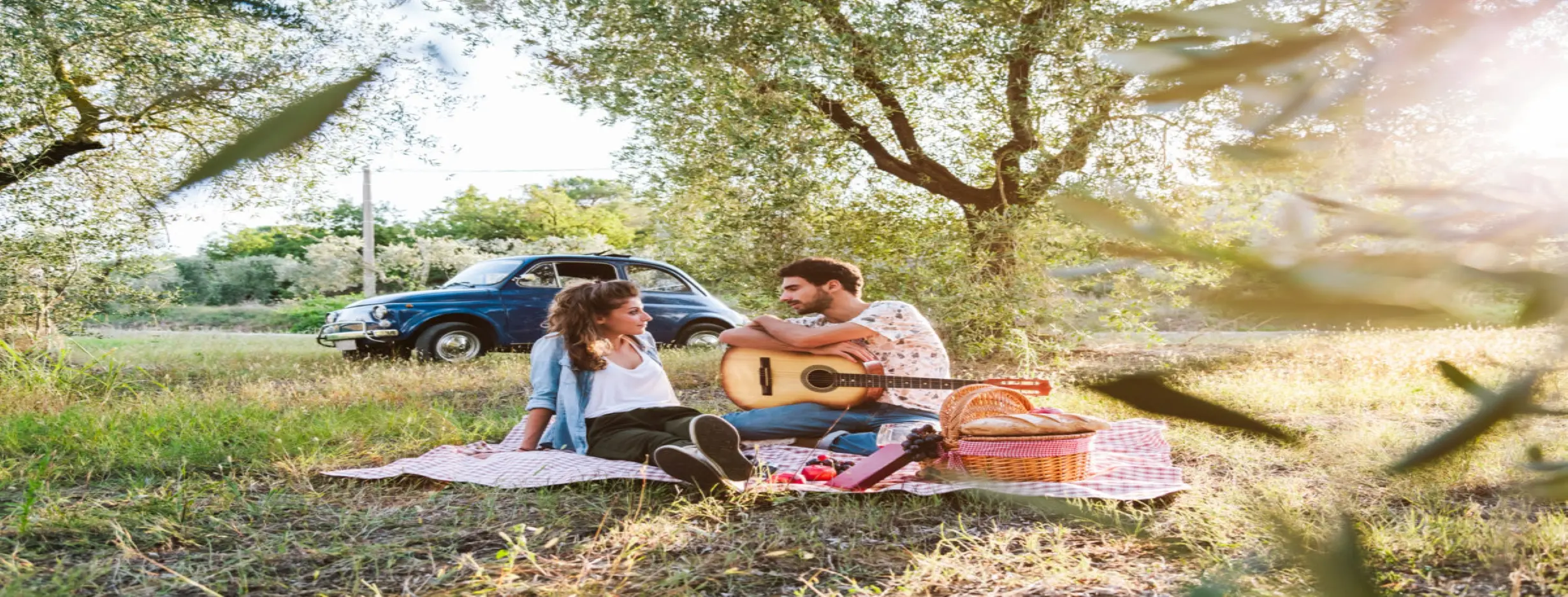 Image for Olive Grove Picnic